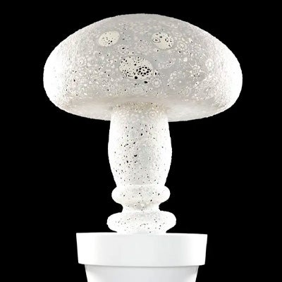 Marcel Wanders
