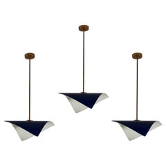 Mid-Century Modern Chandeliers and Pendants