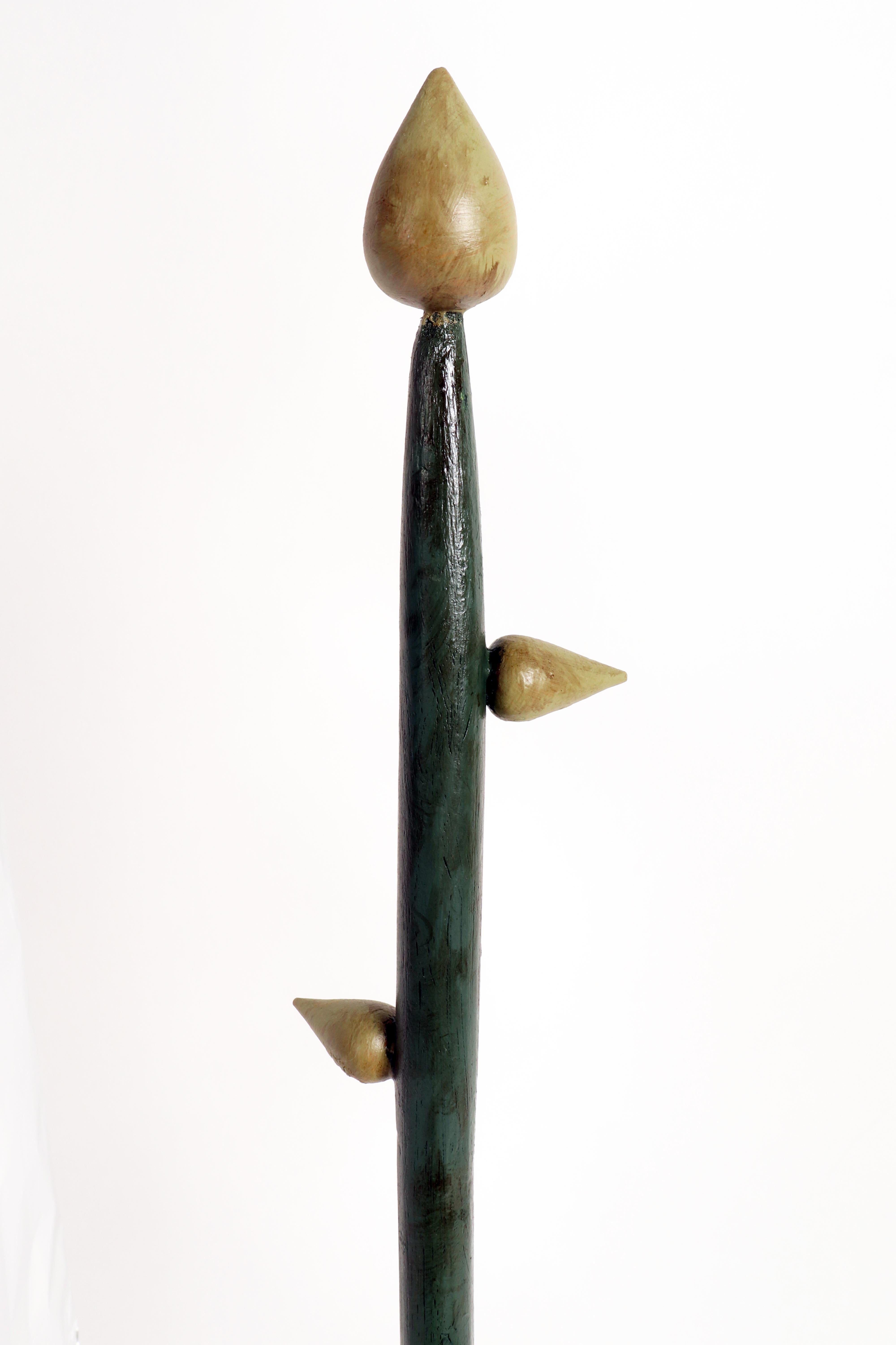 XX secolo Modello botanico di infiorescenza, il Corymb, Italia, 1930 in vendita
