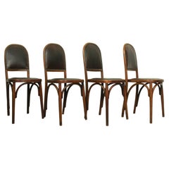  Art Nouveau Bentwood and Leather Dining Room Set from Fischel, c1910