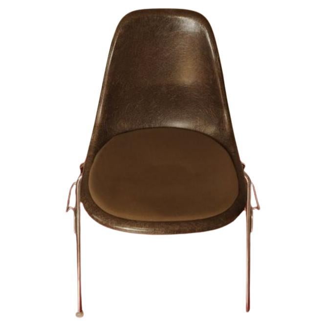 Charles and Ray Eames Sedia originale Herman Miller Dss in fibra di vetro color cioccolato, con cuscino originale, base cromata ed etichette anni '80

L'oggetto presenta un marchio di attribuzione alla base

