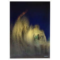 " Hallucinations " Francis Apesteguy Photo jet d'encre