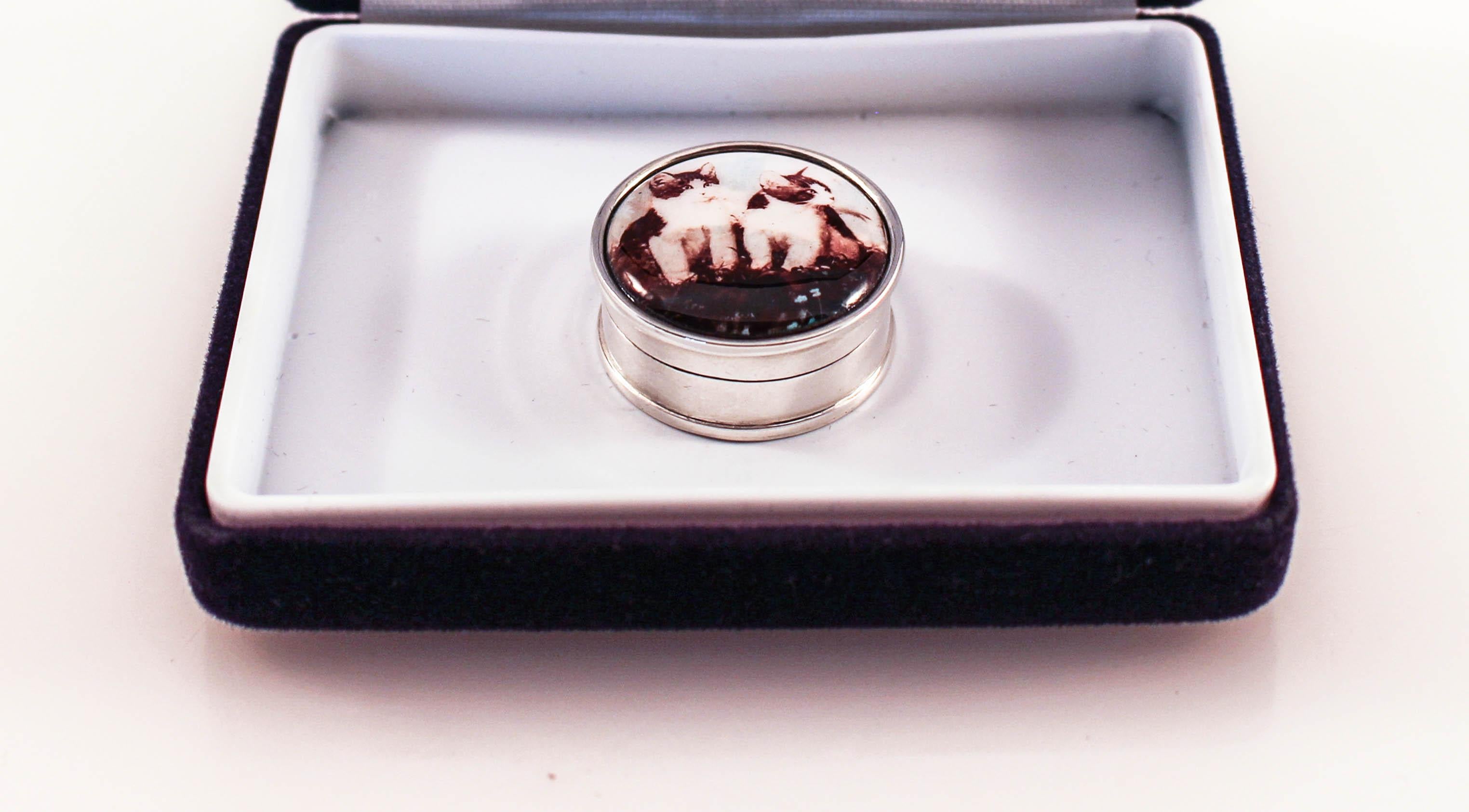 English ﻿Sterling and Enamel Kittens Pillbox For Sale
