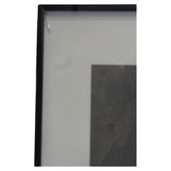 " Tulips " Original Photograph by Yasuhiro Ishimoto - Graphique De France 1990 /