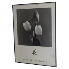 " Tulips " Original Photograph by Yasuhiro Ishimoto - Graphique De France 1990 /