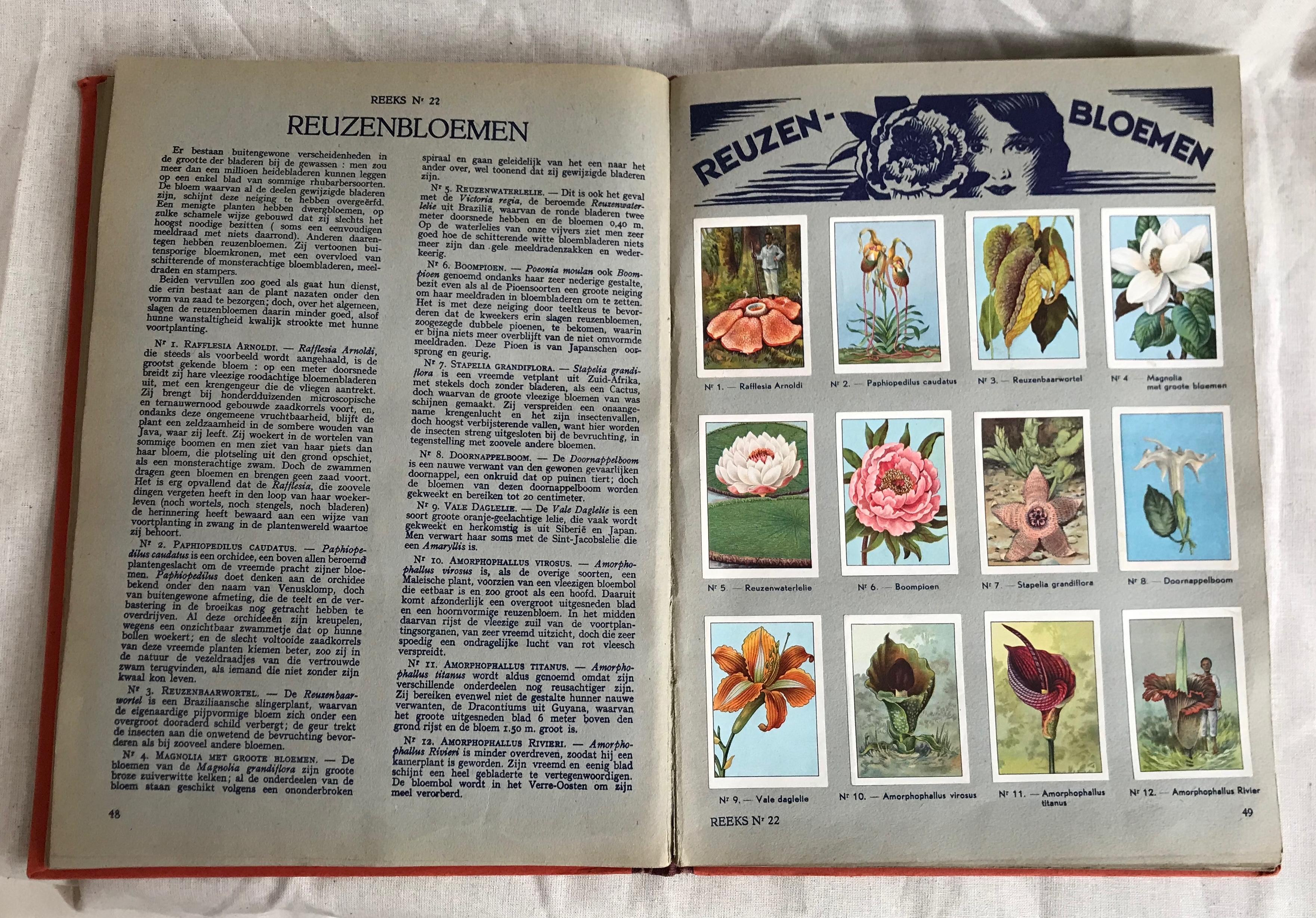 1950s Belgian collectors book of cards of various subjects.
Insects, stars, native people, fish, birds, corals.
Each page represents a different subject.
Beautiful as is or to frame page by page.
 