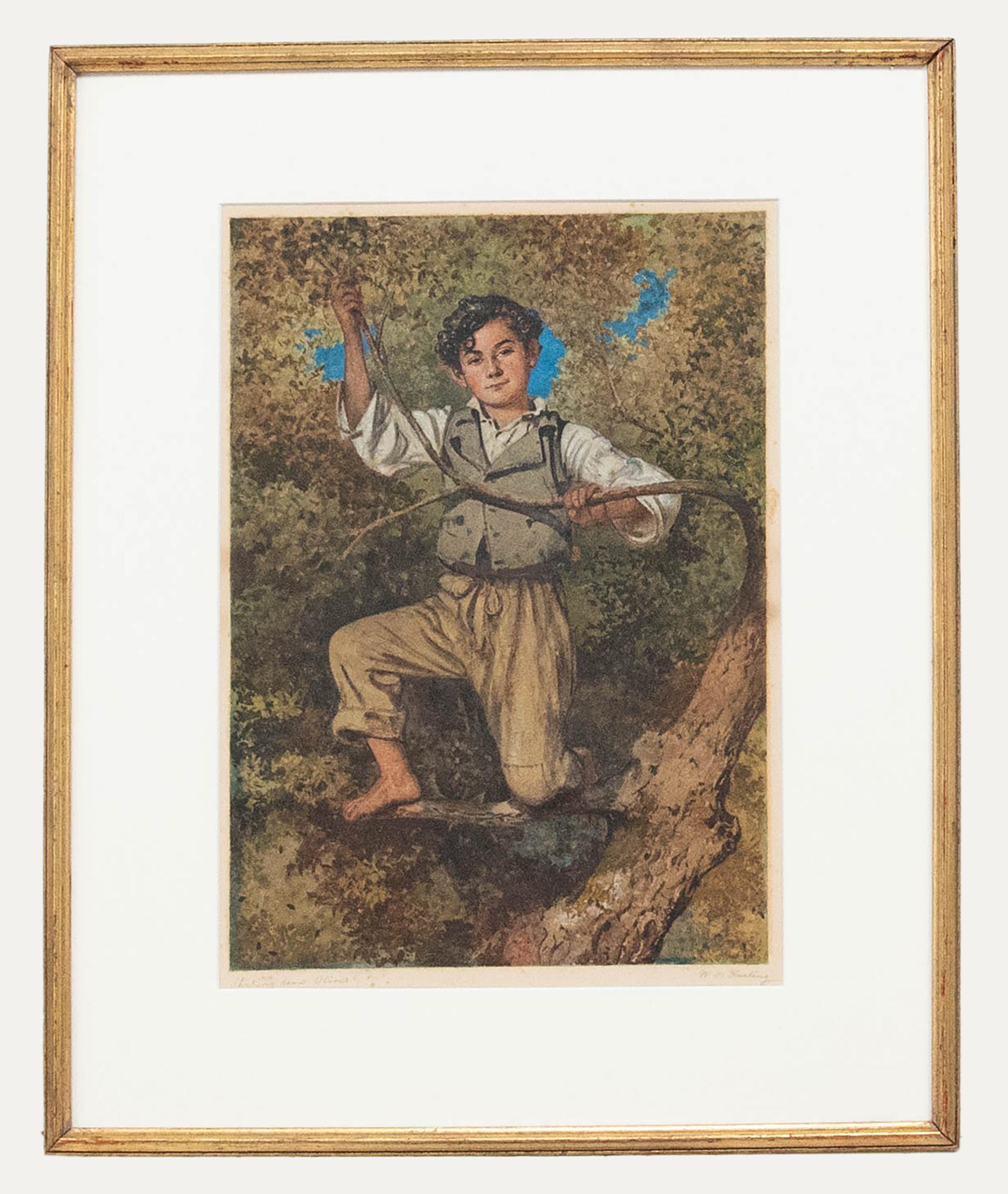 Unknown Portrait - W. O. Harding  - Early 20th Century Watercolour, Shaking Down Olives