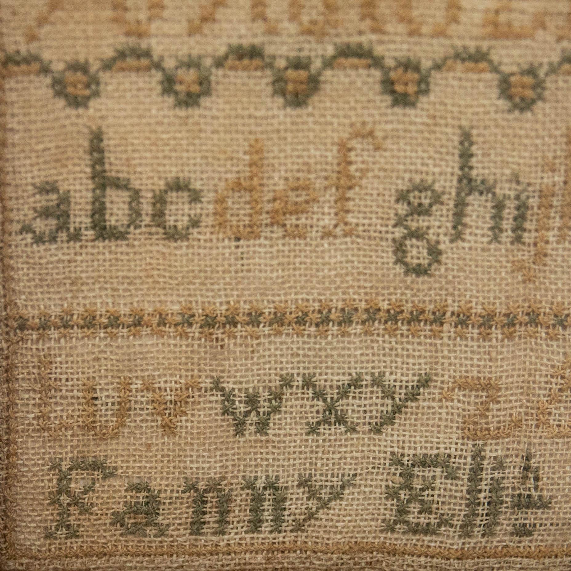 Fanny Soriveno - Framed 19th Century Embroidery, Victorian Needlework Sampler 2