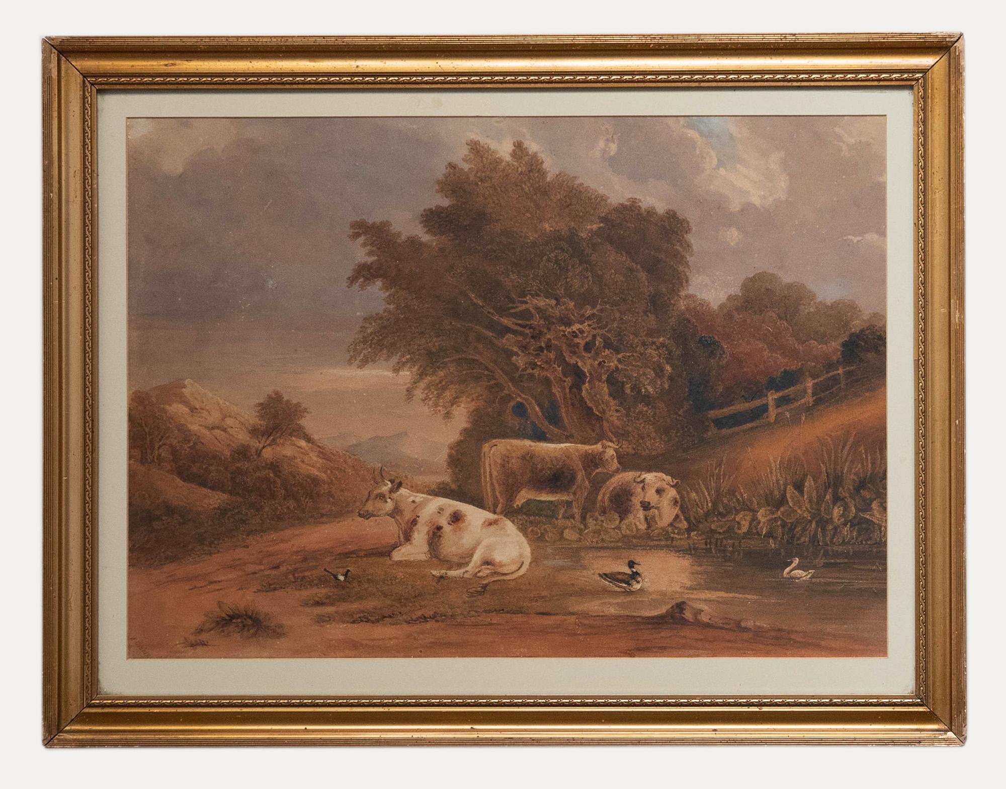 Unknown Landscape Art – W. Graham  - 19. Jahrhundert Aquarell, Ruhende Rinder