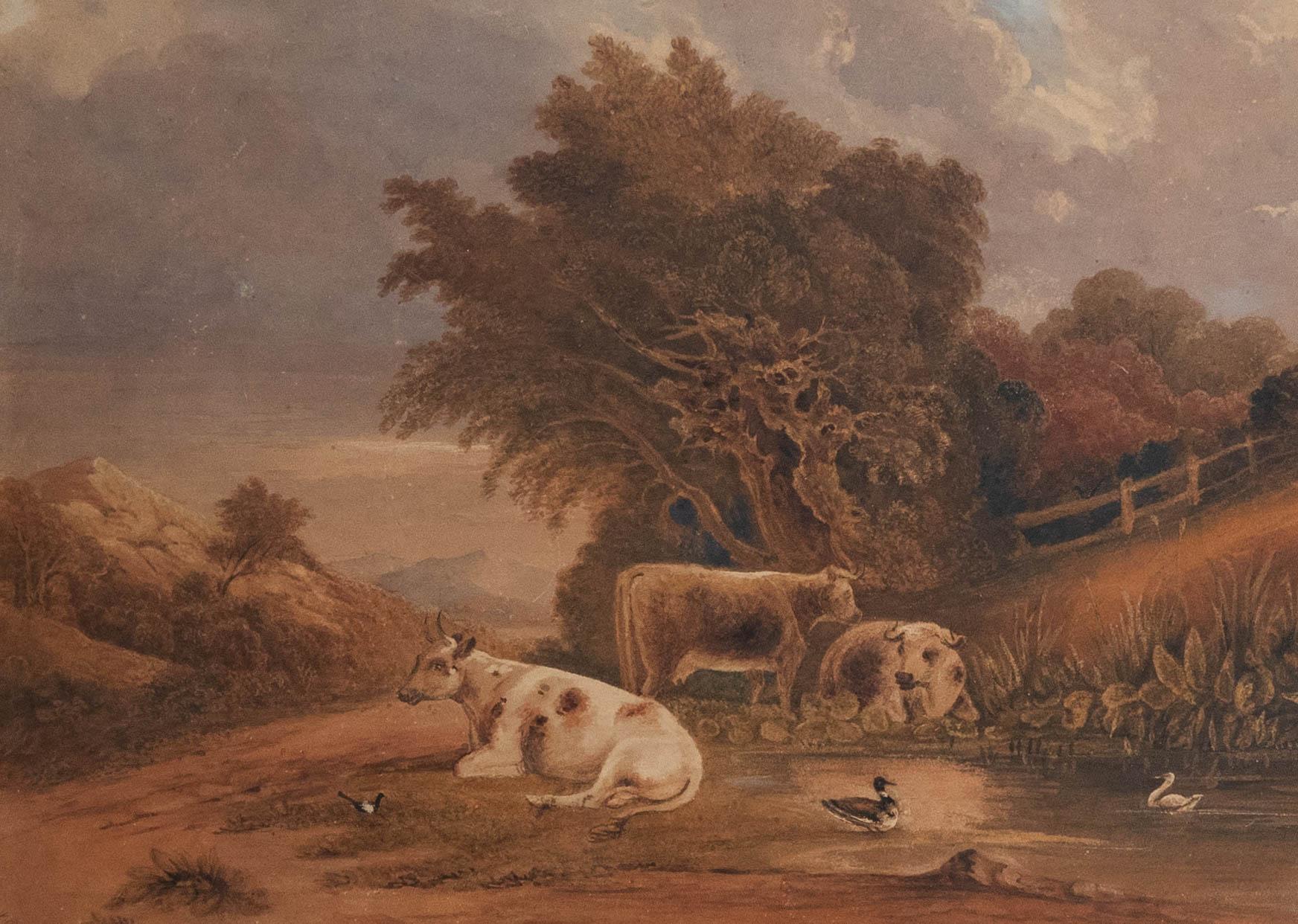 W. Graham  - 19. Jahrhundert Aquarell, Ruhende Rinder – Art von Unknown