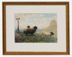 Acquerello incorniciato dei primi del Novecento - Pascolo costiero