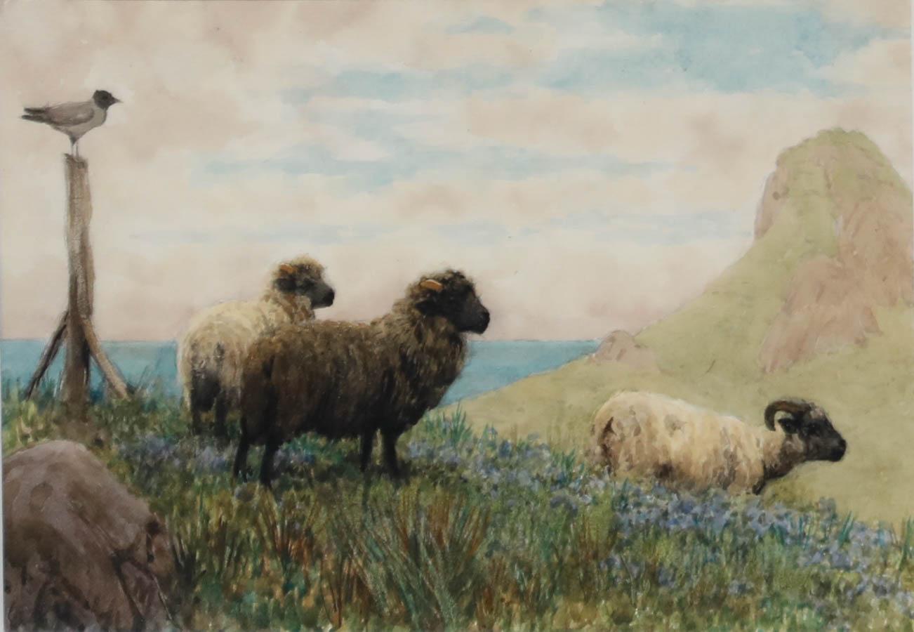Acquerello incorniciato dei primi del Novecento - Pascolo costiero - Art di Unknown