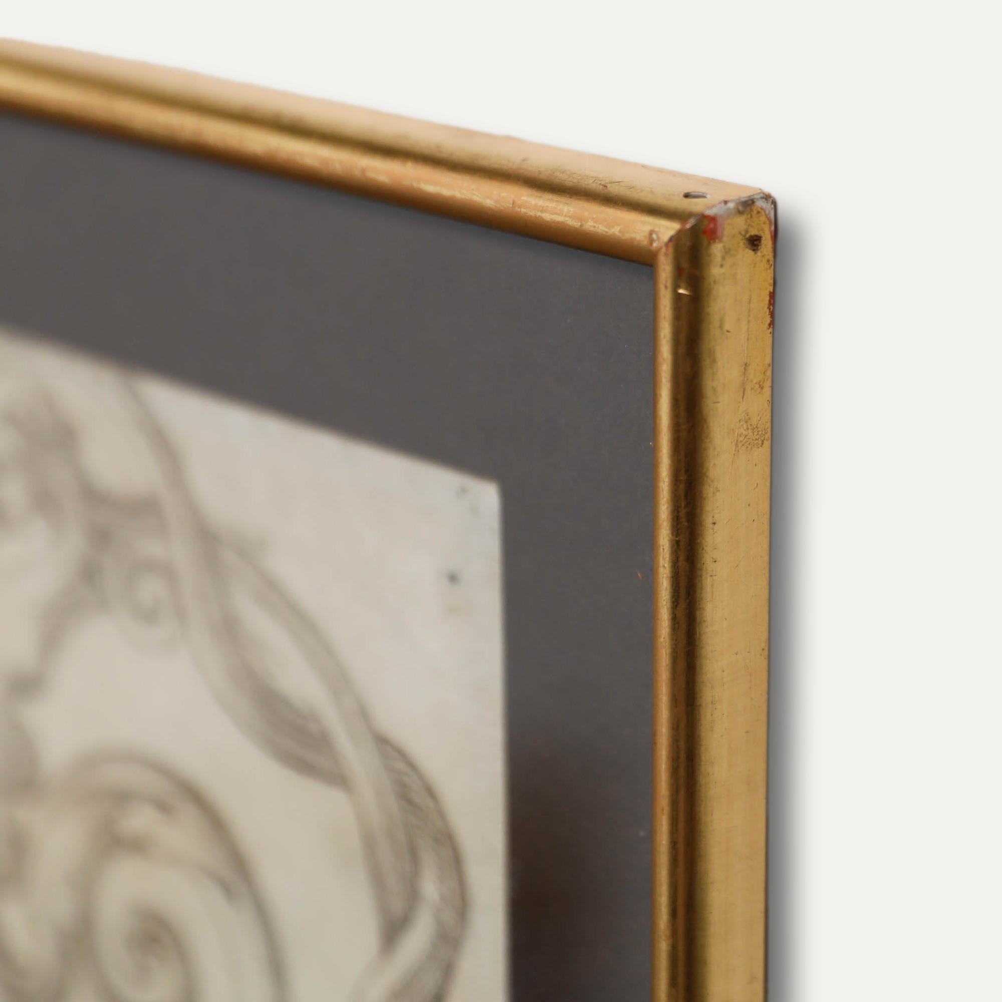 Disegno a penna e inchiostro di scuola italiana del XVIII secolo - Progetto per un'anfora 1