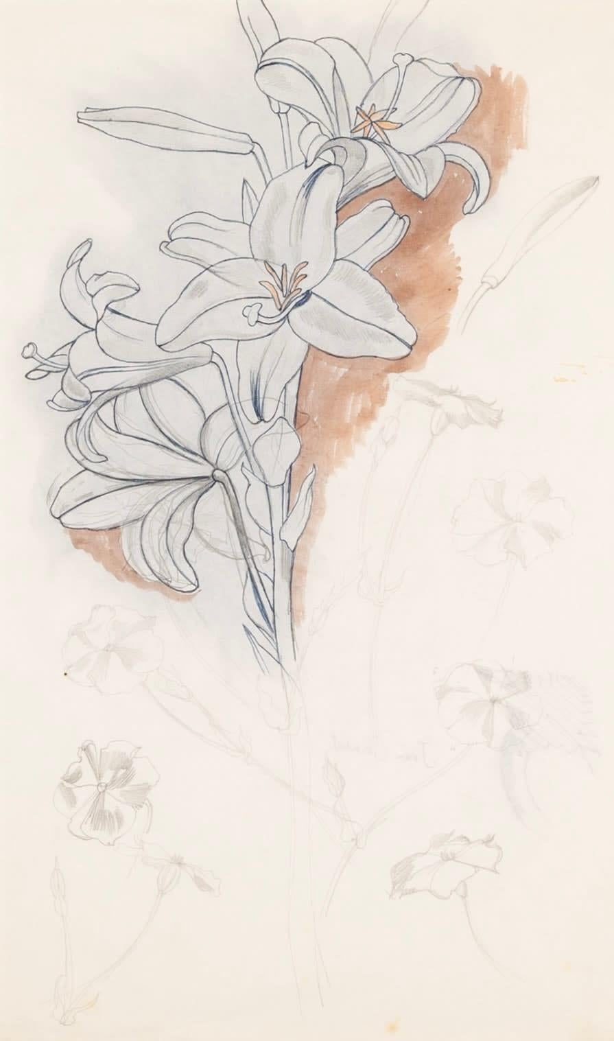 Figurative Art de John Nash - Lirio - Naturaleza muerta de flor botánica, acuarela, pluma y tinta, 1969