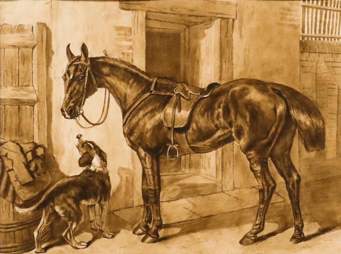 Edith Mary Cottam (1864-1942) - Framed Watercolour, Saddled Hunter with Hound - Art by Unknown