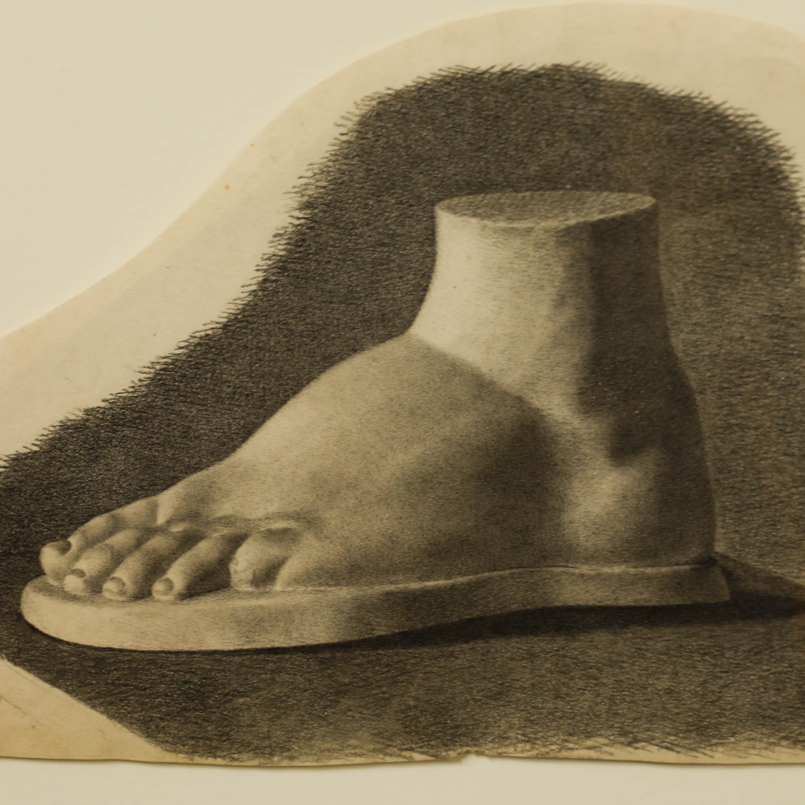 Un beau dessin à la mine de plomb représentant une statue classique d'un pied. Non signée. Le dessin a été monté sur flotteur et présenté dans un mince cadre noir. Sur le papier.