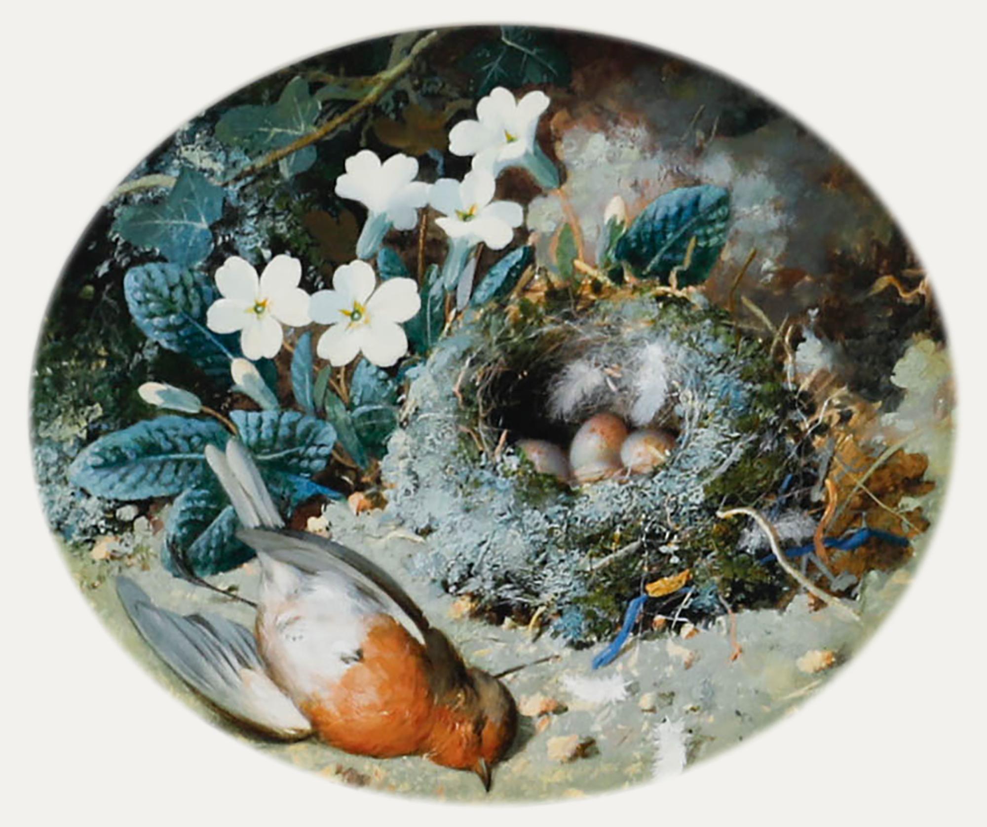 William Cruikshank (1848-1922) - Acquerello incorniciato, Il nido del pettirosso in vendita 1