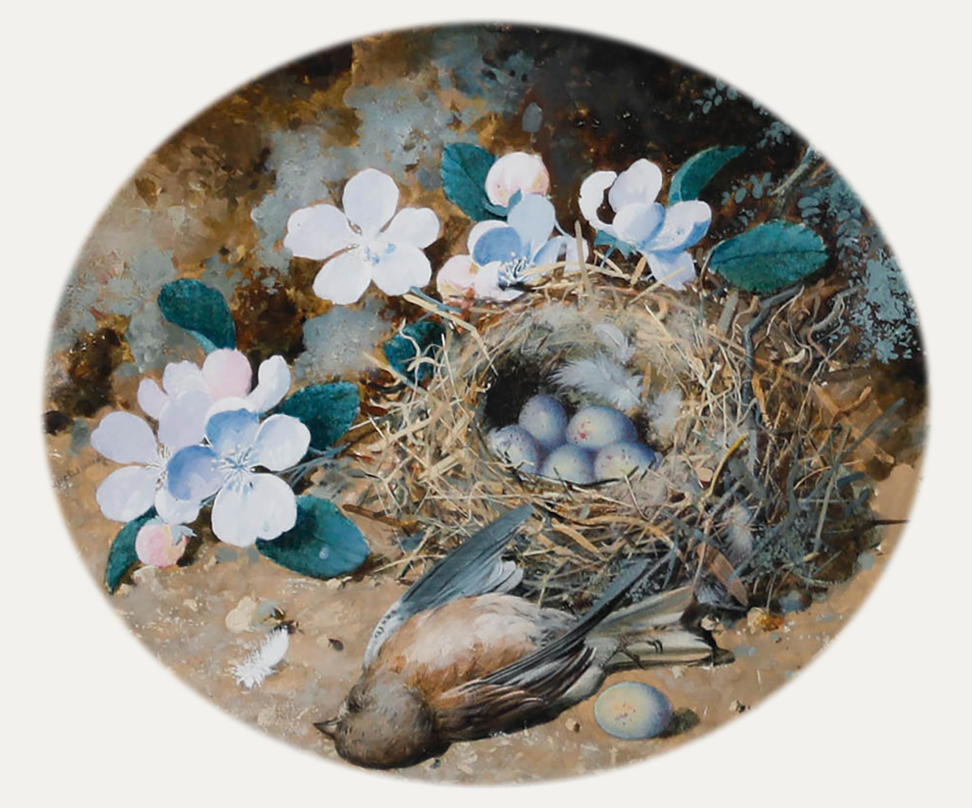 William Cruikshank (1848-1922) - Acuarela enmarcada, Nido de pájaros entre flores en venta 1