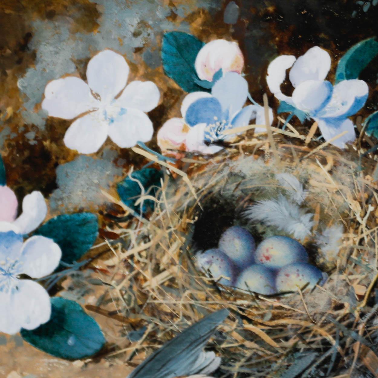 William Cruikshank (1848-1922) - Acuarela enmarcada, Nido de pájaros entre flores en venta 3