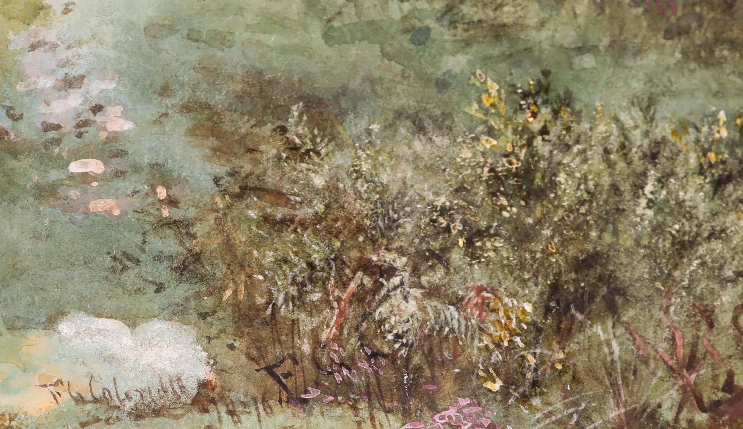 An original watercolour landscape by Francis George Coleridge (1838-1923), depicting sheep grazing near a rocky gorge. Signed to the lower left. Presented in a crisp white mount and gilt-effect frame. On paper. 