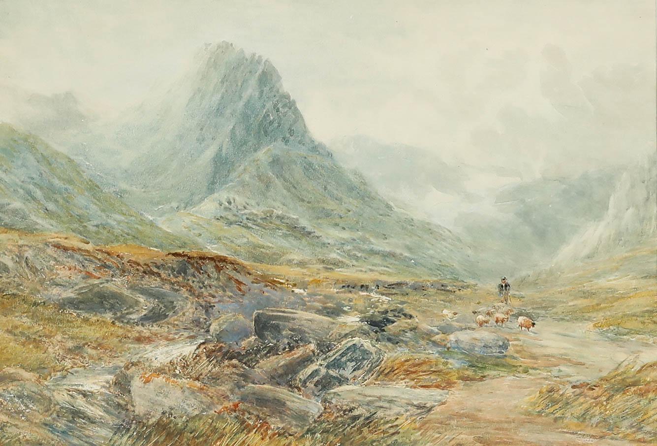 William Henry Hall (1812-1880) - Acuarela enmarcada, Pastor en las Tierras Altas - Art de Unknown