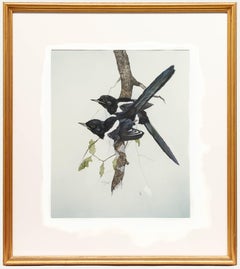 Steve Shotter - Contemporary Gouache, Magpies