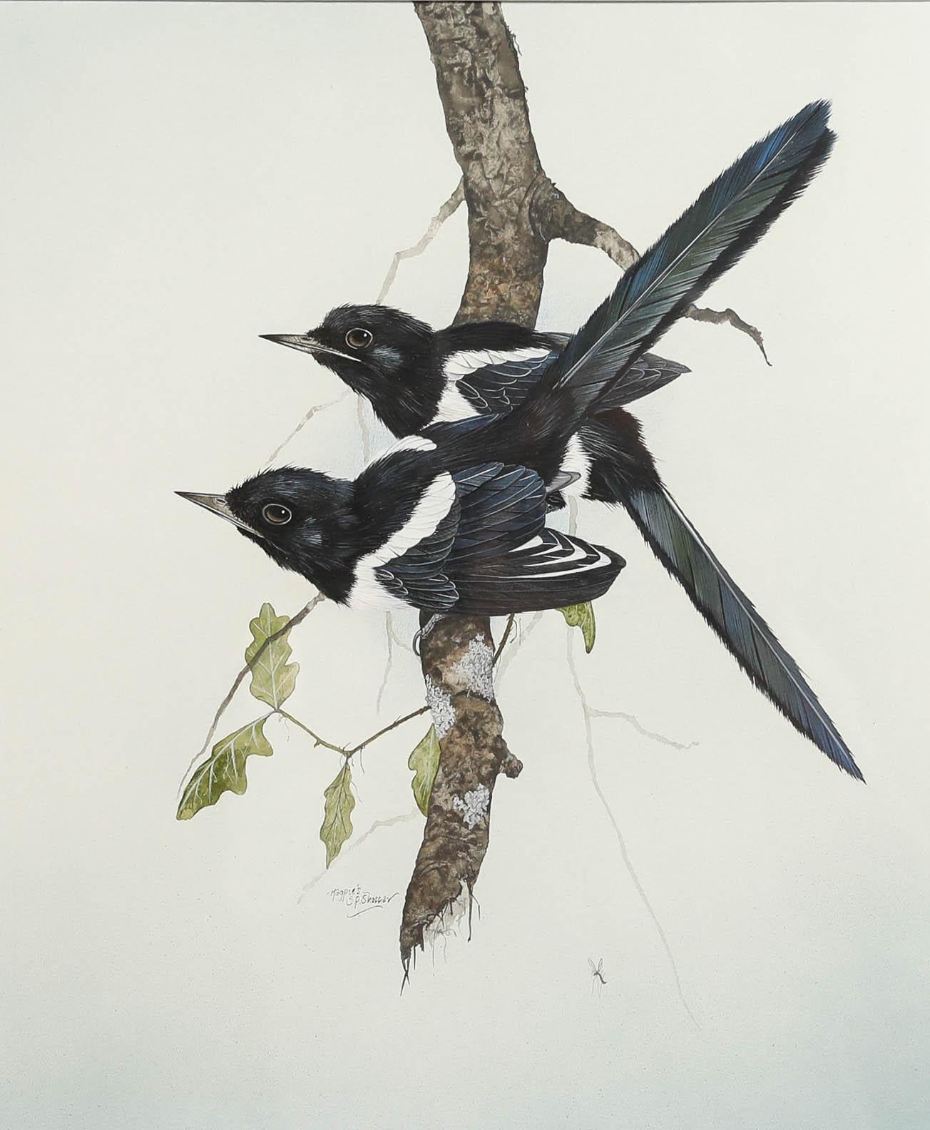 Steve Shotter - Gouache contemporaine, Magpies - Art de Unknown