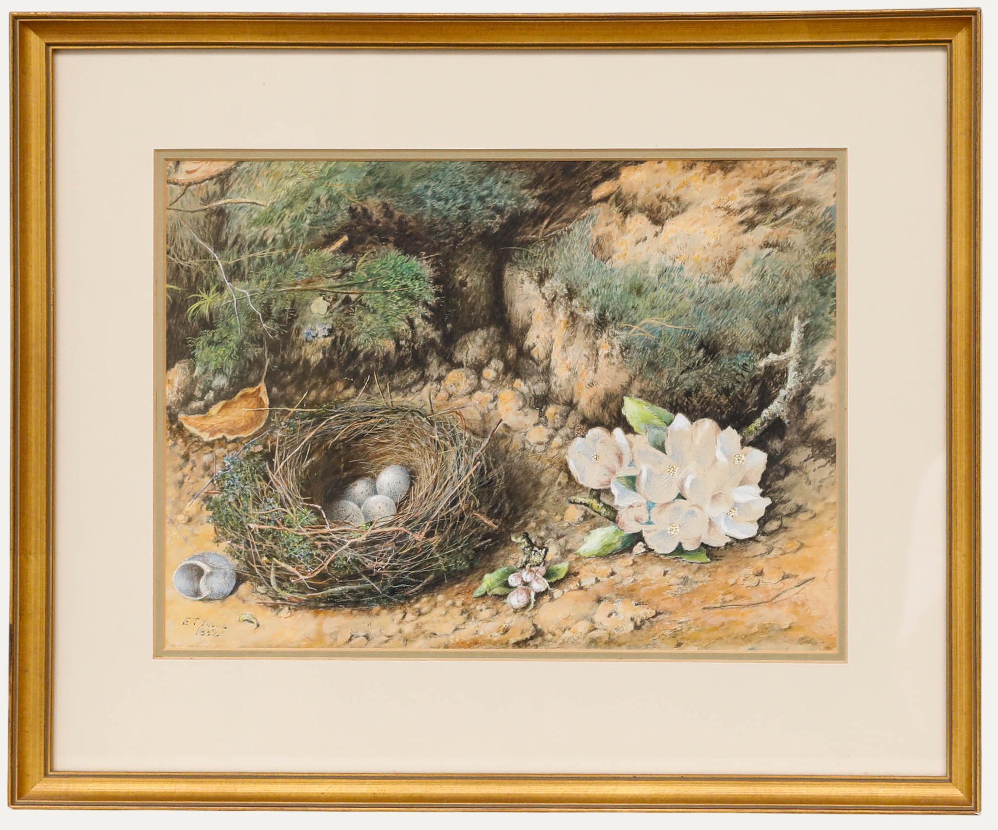 E. T. Young - Framed Late 19th Century Watercolour, Study of a Bird's Nest
