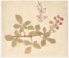 William Henry Ladd - Acuarela, Arbusto y flores de frambuesa
