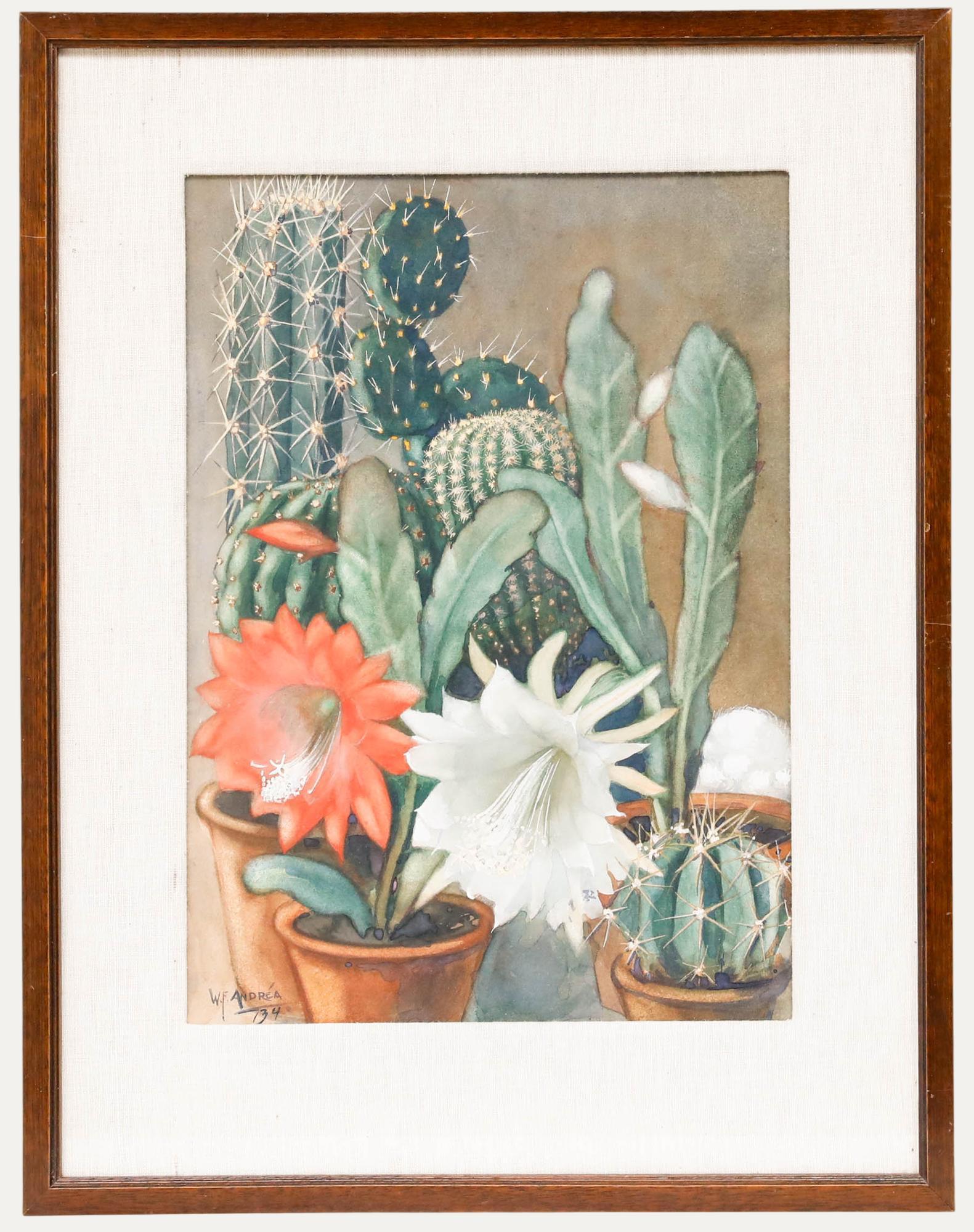 Unknown Still-Life – Willem Frederik Andrea (1875-1952) - Gerahmtes Aquarell, Stillleben mit Kakteen