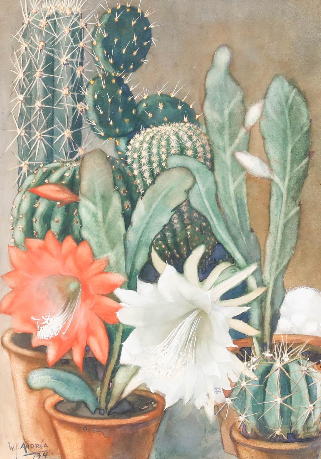 Willem Frederik Andrea (1875-1952) - Gerahmtes Aquarell, Stillleben mit Kakteen – Art von Unknown