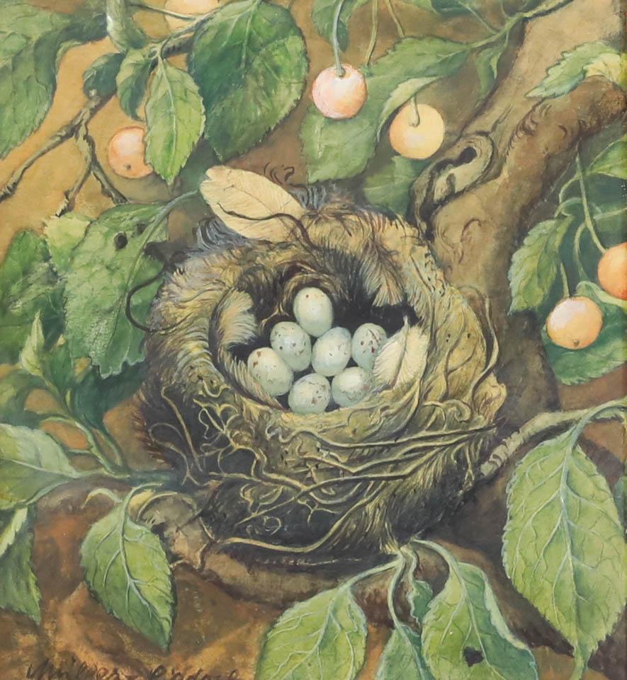 Karl Müller-Liedeck  - Early 20th Century Watercolour, Serin's Nest - Art by Unknown