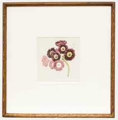 Sophia Katherine Charleton (1789-1844) - Watercolour, Primulas