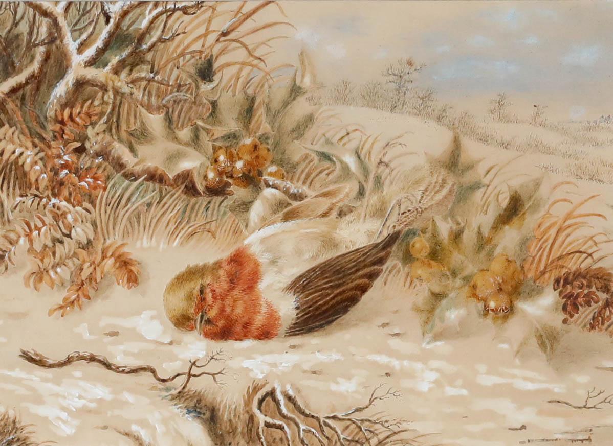 Emma Walter (1833-1893) - Late 19th Century Watercolour, The Dead Robin - Art by Unknown