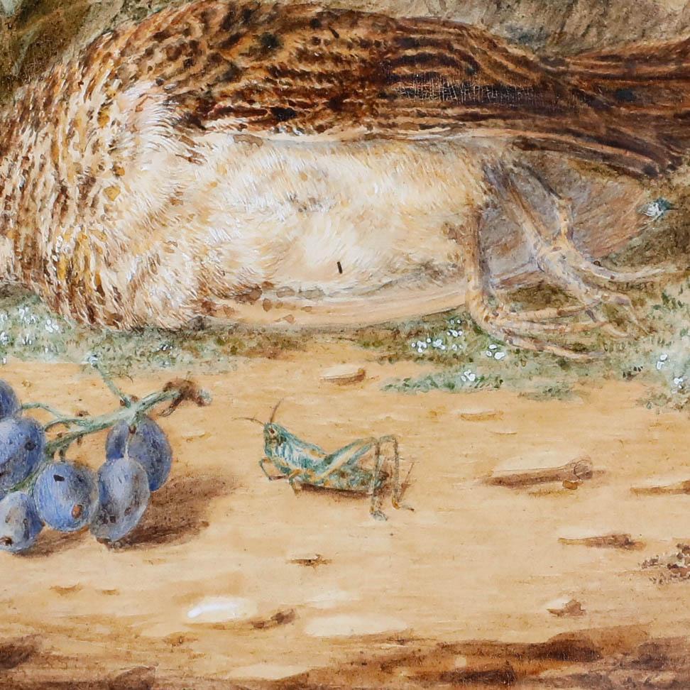 Emma Walter (1833-1893) - Acquerello della fine del XIX secolo, La coda dell'uccello canterino in vendita 1