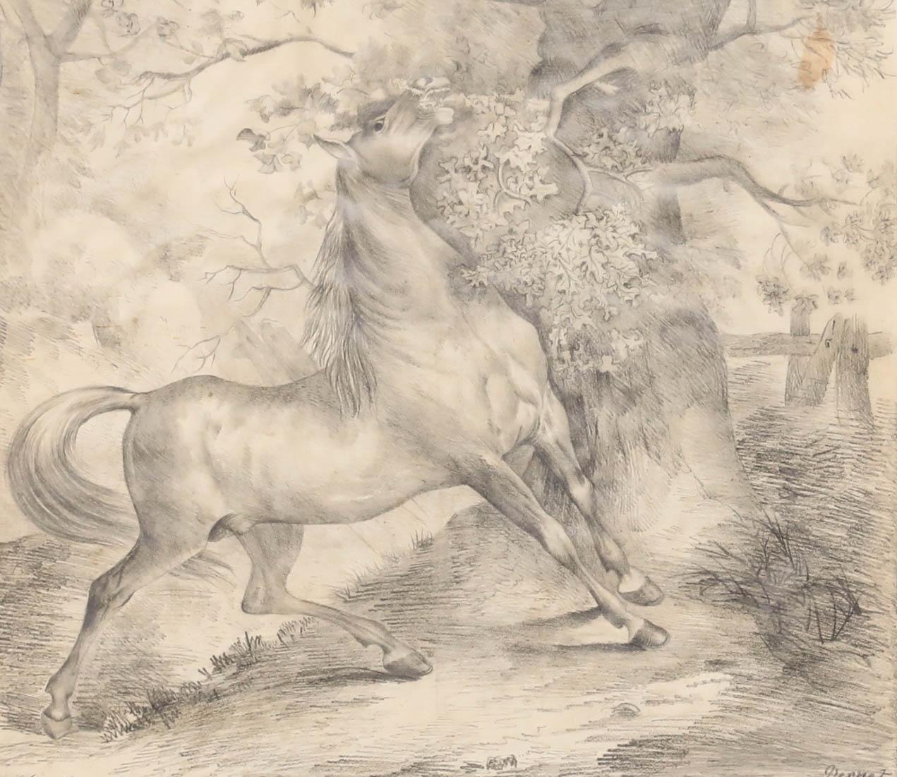 D'après Carle Vernet (1758-1836) - 1833 Dessin au graphite, Cheval sauvage - Art de Unknown
