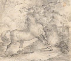 D'après Carle Vernet (1758-1836) - 1833 Dessin au graphite, Cheval sauvage