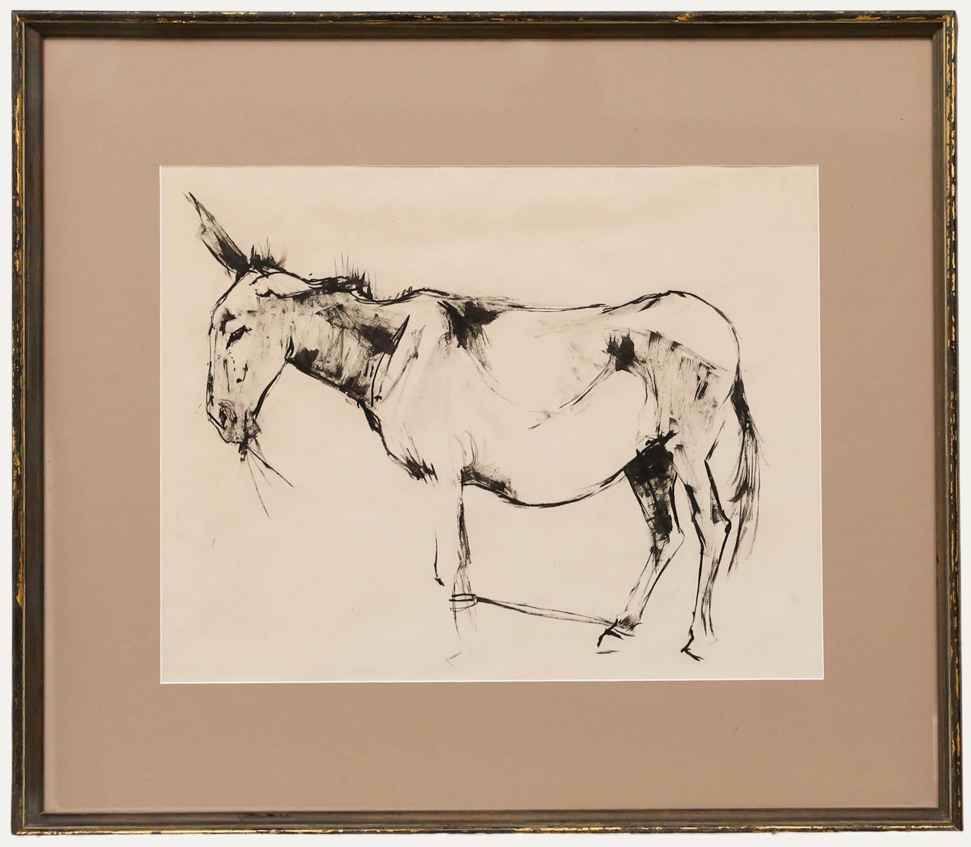 Angela Douglas Conner (b.1935) - Mid 20th Century Pen and Ink Drawing, Donkey