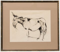 Angela Douglas Conner (b.1935) - Mid 20th Century Pen and Ink Drawing, Donkey