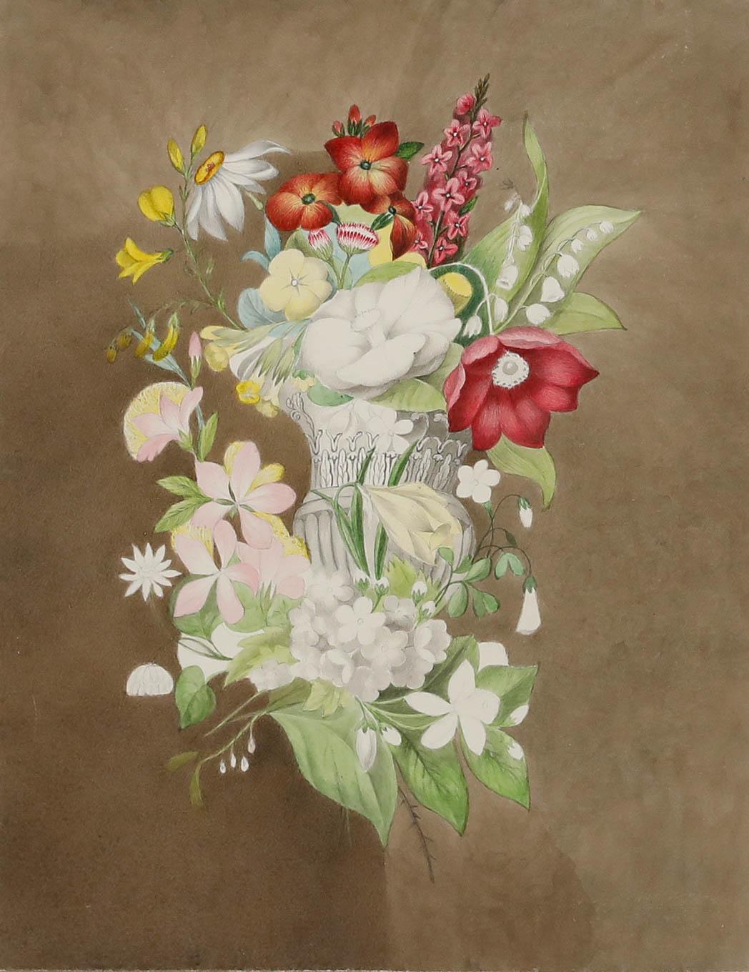 Sophia Katherine Charleton (1789-1844) - Aquarelle, Une floraison printanière - Art de Unknown