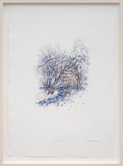 Into The Woods : Sylvan II - œuvre sur papier, monotype sur papier Hahnemühle
