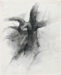 Jean-Pierre Cornet (b.1925) - Mid 20th Century Charcoal Drawing, Study of a Tree