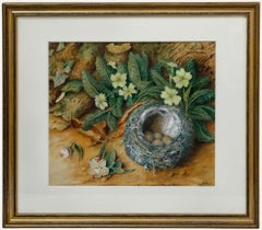 E. P. Young - Framed 19th Century Watercolour, Still Life of a Bird's Nest