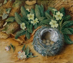 E. P. Young - Framed 19th Century Watercolour, Still Life of a Bird's Nest
