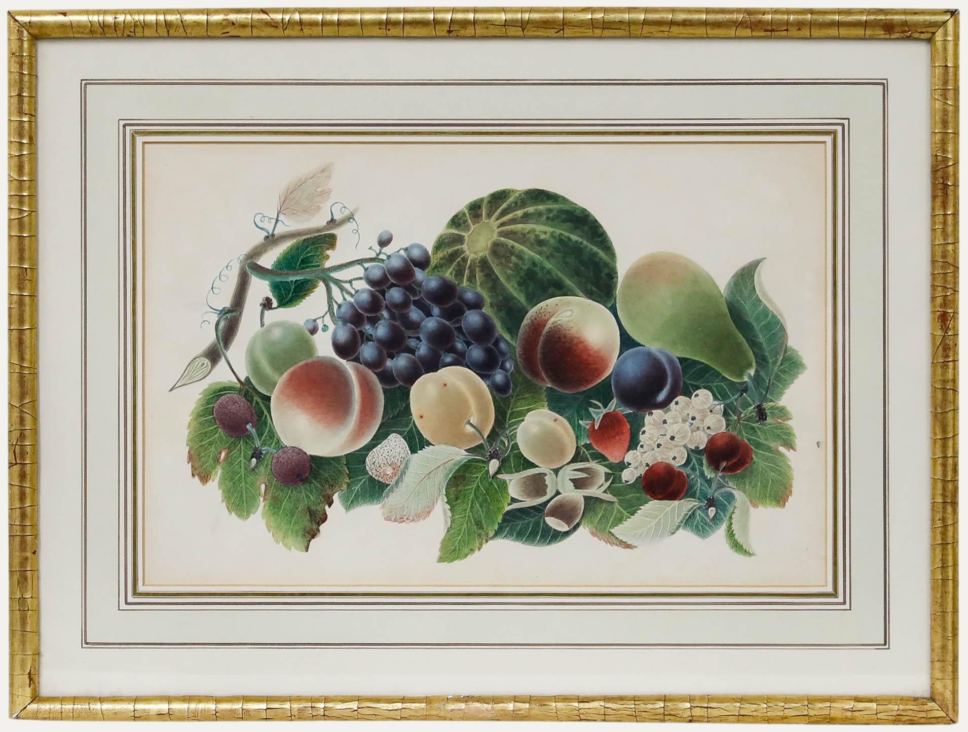 Unknown Still-Life - Framed 19th Century Watercolour - Study of Fruit