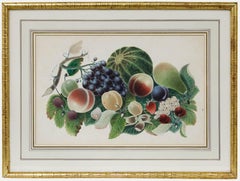 Framed 19th Century Watercolour - Study of Fruit