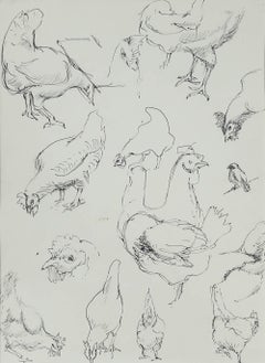 Leslie Charles Boyce (1892-1989) - Pen and Ink Drawing, Chicken Studies