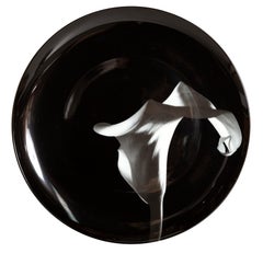 Poppy and Calla Lily Plate, Porcelain by Robert Mapplethorpe