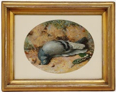 Aquarell aus der viktorianischen Zeit, 1852 – Toter Cushat