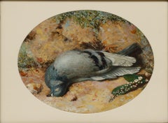 Aquarell aus der viktorianischen Zeit, 1852 – Toter Cushat